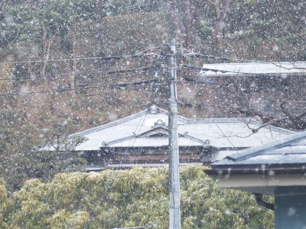 オリンパス E 1 ボディ レビュー評価 評判 価格 Com