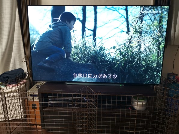 東芝 REGZA 55X930 [55インチ]投稿画像・動画 (レビュー) - 価格.com