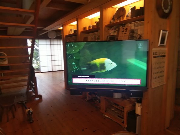 東芝 REGZA 50M520X [50インチ]投稿画像・動画 (レビュー) - 価格.com