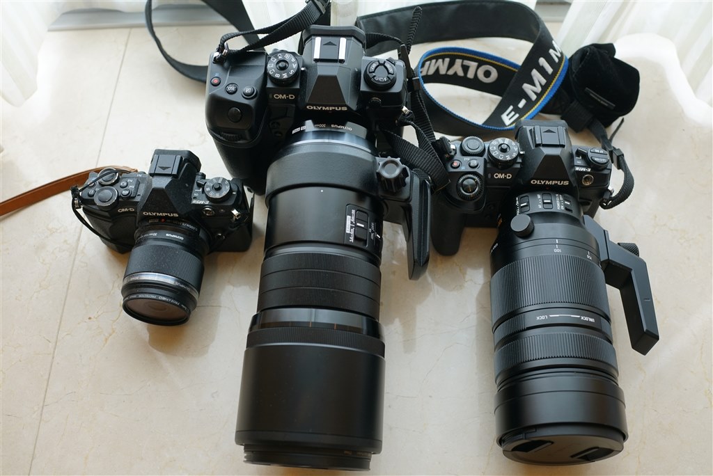 Olympus（オリンパス）E-M1X ボディ　交渉OK！ショット数1084枚 Olympus（オリンパス）E-M1X ボディ 交渉OK！ショット数1084枚