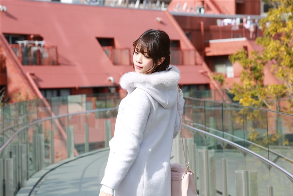 古き良き標準ズームレンズ』 CANON EF28-135mm F3.5-5.6 IS USM 古田