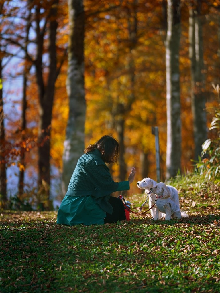 高いけど、価格以上の価値があるレンズ』 SONY FE 135mm F1.8 GM ...