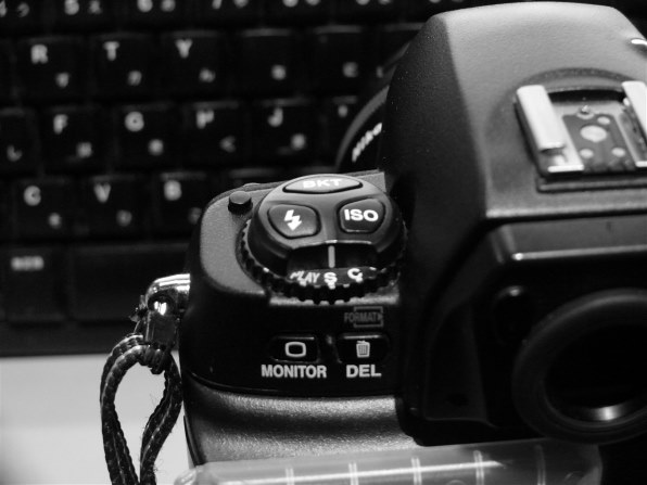 ニコン D1H ボディ投稿画像・動画 - 価格.com