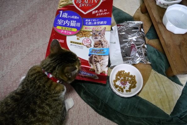 日本ペットフード ビューティープロ キャット 成猫用 1歳から チキン味 1 5kg 300gx5 投稿画像 動画 価格 Com