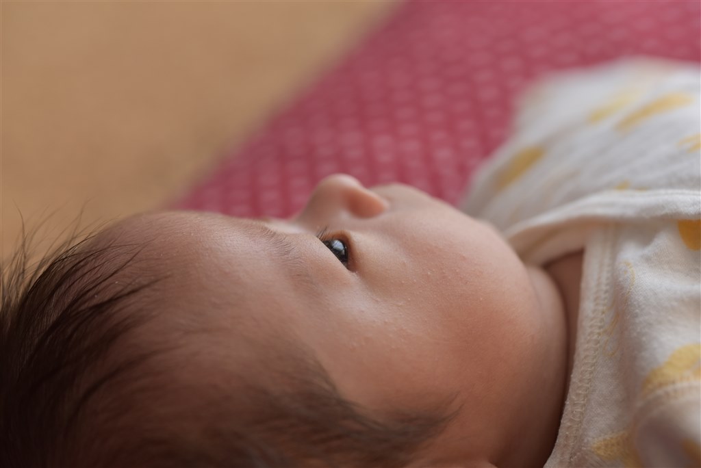 Nikon D50 デジタル一眼 タムロン 90㍉1:2.5 タムキューSP作例 タムロン 90mm F/2.8 Di III MACRO VXD（F072Z）ミラーレス時代の