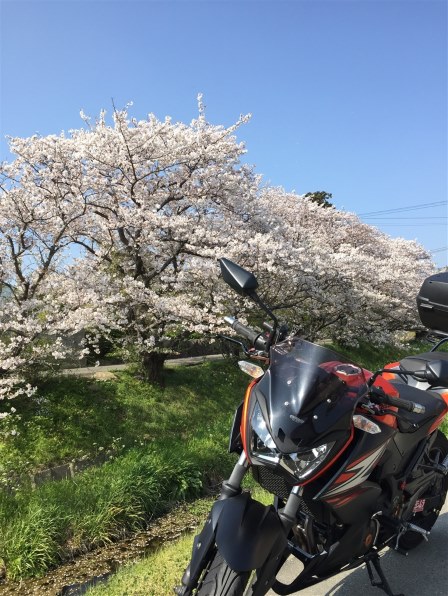 入札受付中本日まで(一つ前の投稿商品追加写真です。) U.S. Mail box1 エンボス文字あり｜ARTWORKSTUDIO公式