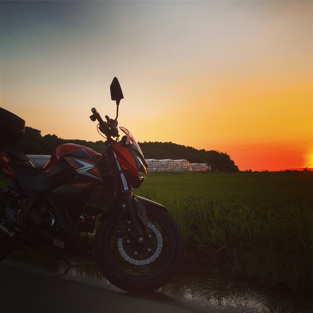 日常からツーリングまで幅広く』 カワサキ Z250 keita兄さんのレビュー 