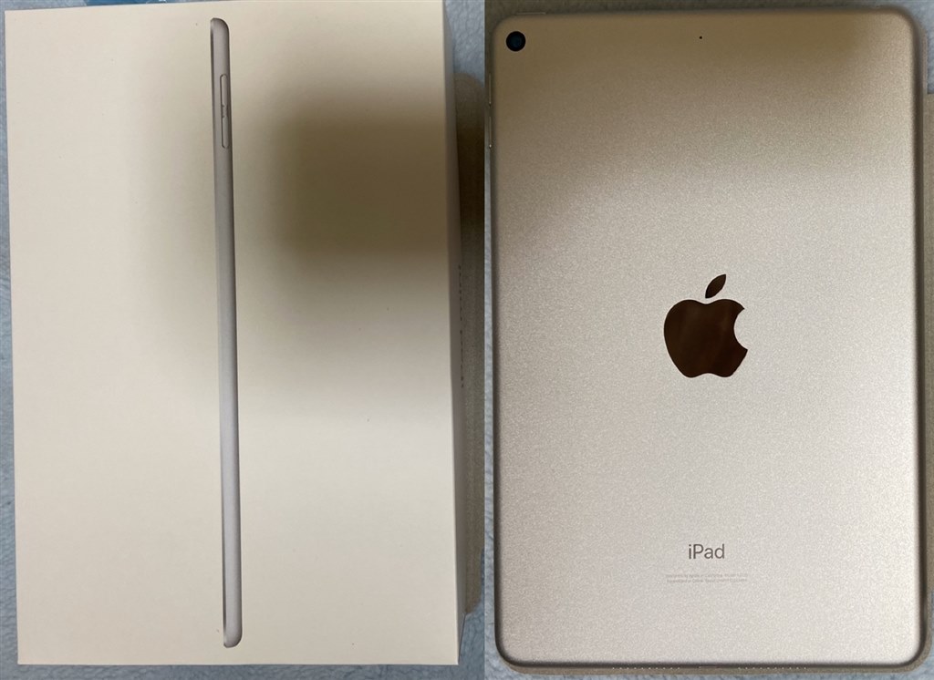 外観は変わらなくても貴重なサイズ感 Apple Ipad Mini 7 9インチ 第5世代 Wi Fi 64gb 19年春モデル Muqx2j A シルバー すぽじさんのレビュー評価 評判 価格 Com