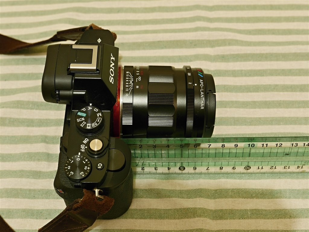 柴犬こてつ様】APO-LANTHAR 50mm F2 Voigtlander（Voigtlander APO 