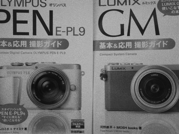 パナソニック LUMIX G 14mm/F2.5 II ASPH. H-H014A-K [ブラック] レビュー評価・評判 - 価格.com