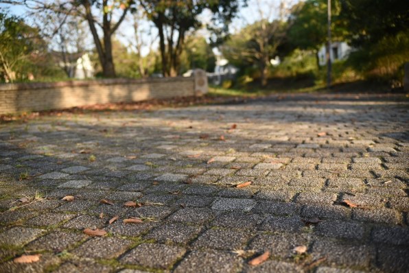 ニコン AI Zoom Nikkor 35-70mm F3.3-4.5S投稿画像・動画 - 価格.com