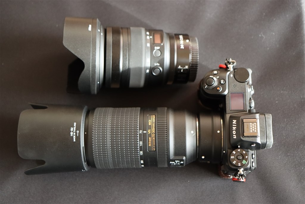 ニコン　AF-P レンズセット ニコン AF-P DX NIKKOR 10-20mm f/4.5-5.6G VR サイトウカメラ