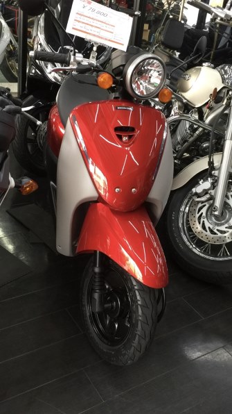 原付 HONDA TODAY 新着 - バイク車体