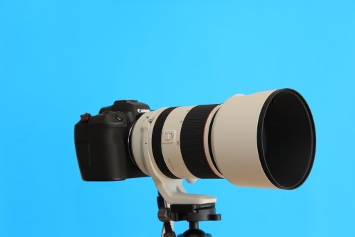 70-200mmは4本目です』 CANON RF70-200mm F2.8 L IS USM DENSON