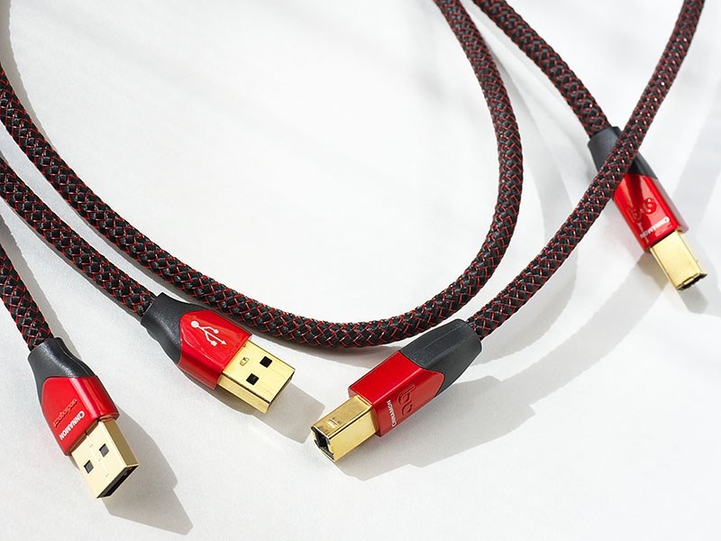 大幅な価格改定 43 Up にも関わらず二本目を購入 Audioquest Usb Cinnamon 2 Type A B 0 75m Tersolさんのレビュー評価 評判 価格 Com