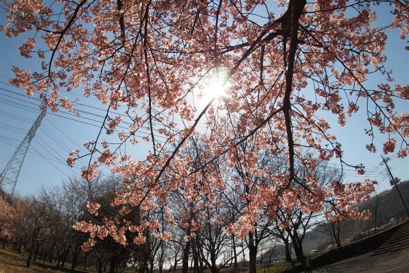 七工匠 7Artisans 7.5mm F2.8 Fish-eye II 75M43B2 [マイクロフォー