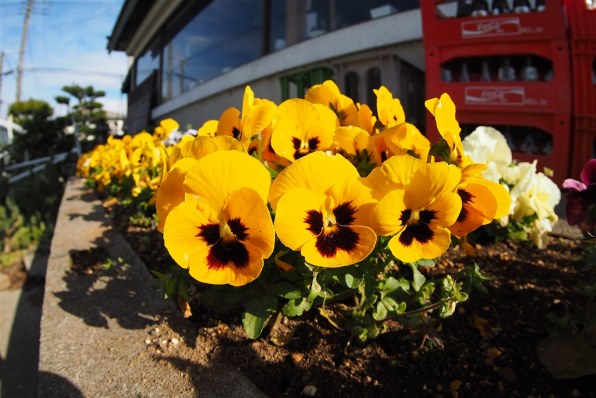 七工匠 7Artisans 7.5mm F2.8 Fish-eye II 75M43B2 [マイクロフォー