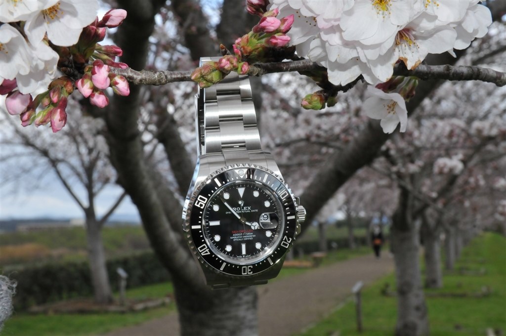 ROLEX シードウェラーパスキット Rolex Rolex Deepsea watch: Oystersteel - m136660-0006