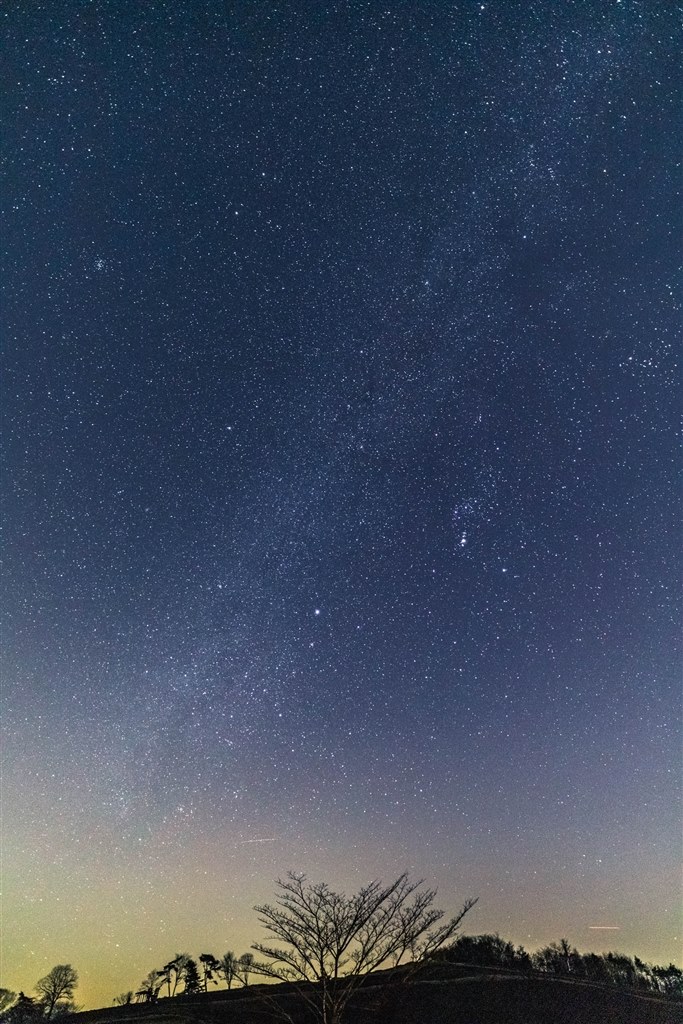 星がクッキリ写ります』 Irix Firefly 15mm F2.4 IL-15FF-EF [キヤノン