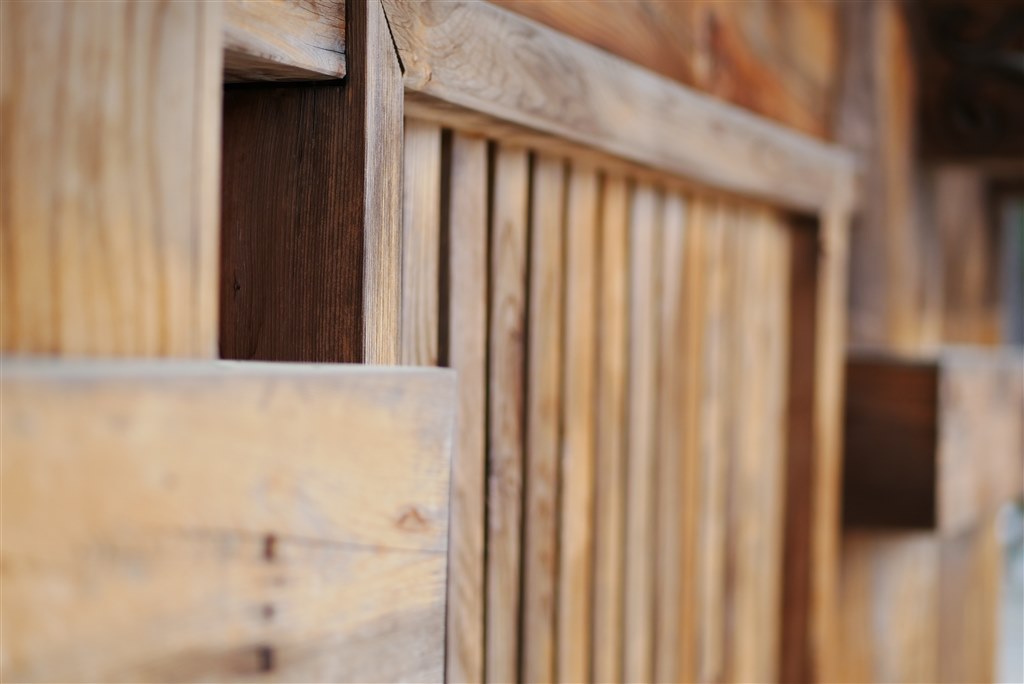 寄れる！ 解像感好し！ 汎用性の高い良コスパのレンズです  