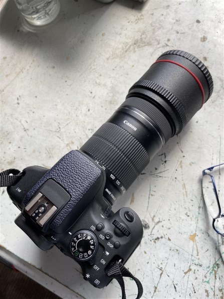 CANON EOS Kiss X8i ダブルズームキット投稿画像・動画 (レビュー CANON EOS Kiss X8i ダブルズームキット投稿画像・動画 (レビュー