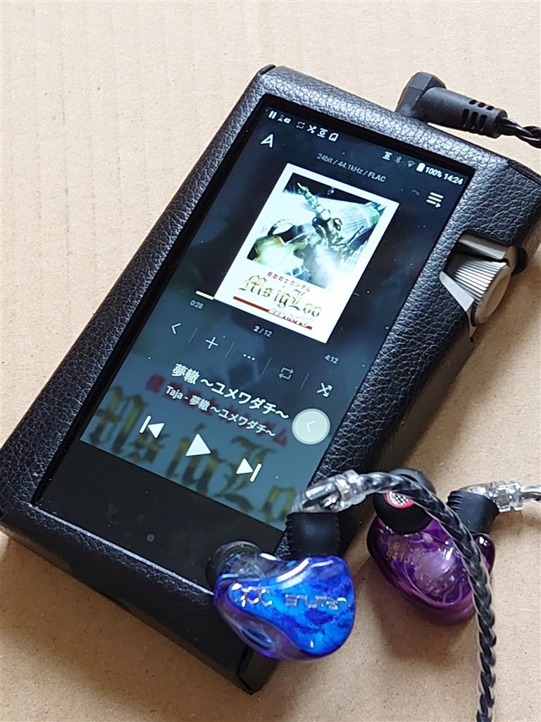 Astell＆kern AK SR25-OB dignisケース付 mathezer.tn