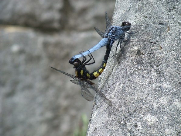 富士フイルム FinePix F200EXR投稿画像・動画 (レビュー) - 価格.com