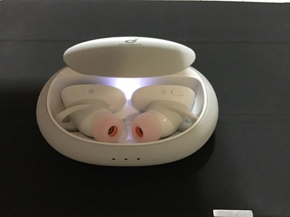 ANKER Soundcore Liberty 2 Pro A3909N21 [ホワイト]投稿画像