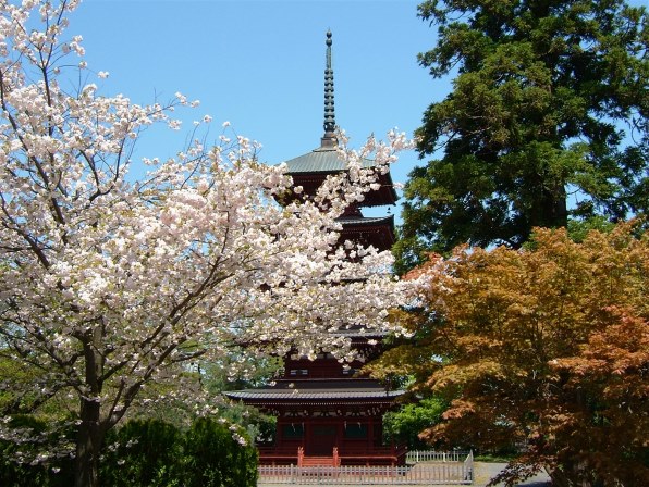 富士フイルム FinePix F710で撮影された写真 (レビュー) - 価格.com