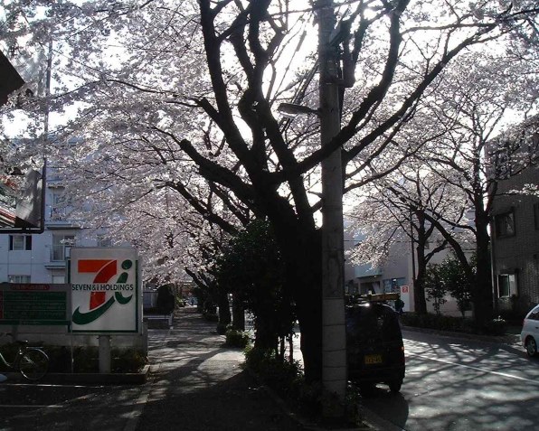 富士フイルム FinePix 1700Z投稿画像・動画 - 価格.com 富士フイルム FinePix 1700Z投稿画像・動画 - 価格.com