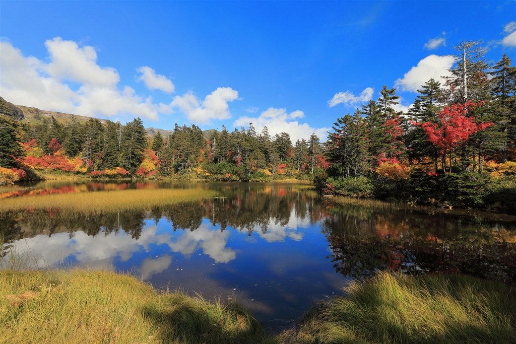 周辺の歪みが劇的に改善 Canon Ef16 35mm F2 8l Iii Usm いーよいーよさんのレビュー評価 評判 価格 Com