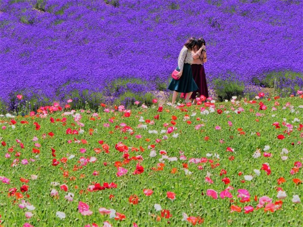 野鳥も撮れる万能カメラ』 パナソニック LUMIX DC-TZ95-K [ブラック