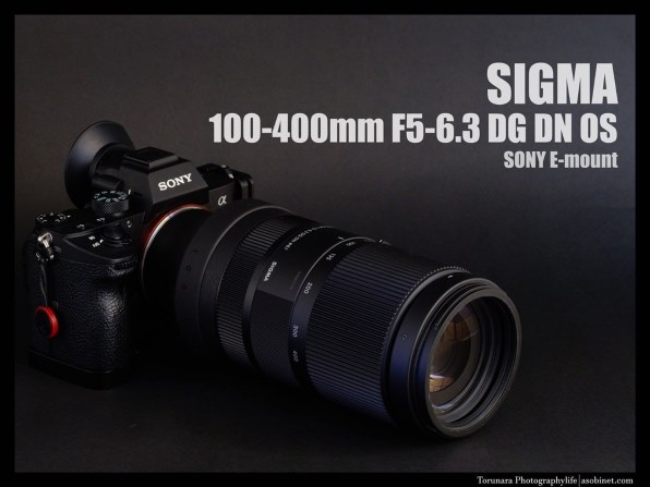 シグマ 100-400mm F5-6.3 DG DN OS [ソニーE用] レビュー評価・評判