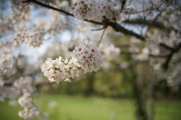 【美品】7Artisans 35mm F1.4 3514EB ソニーEマウント用 ヨドバシ.com - 七工匠 7Artisans 35mm F1.4 3514EB [35mm F1.4