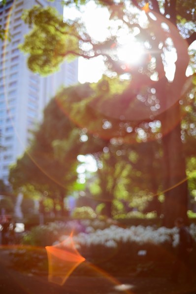 コシナ フォクトレンダー NOKTON classic 35mm F1.4 II SC VM投稿画像