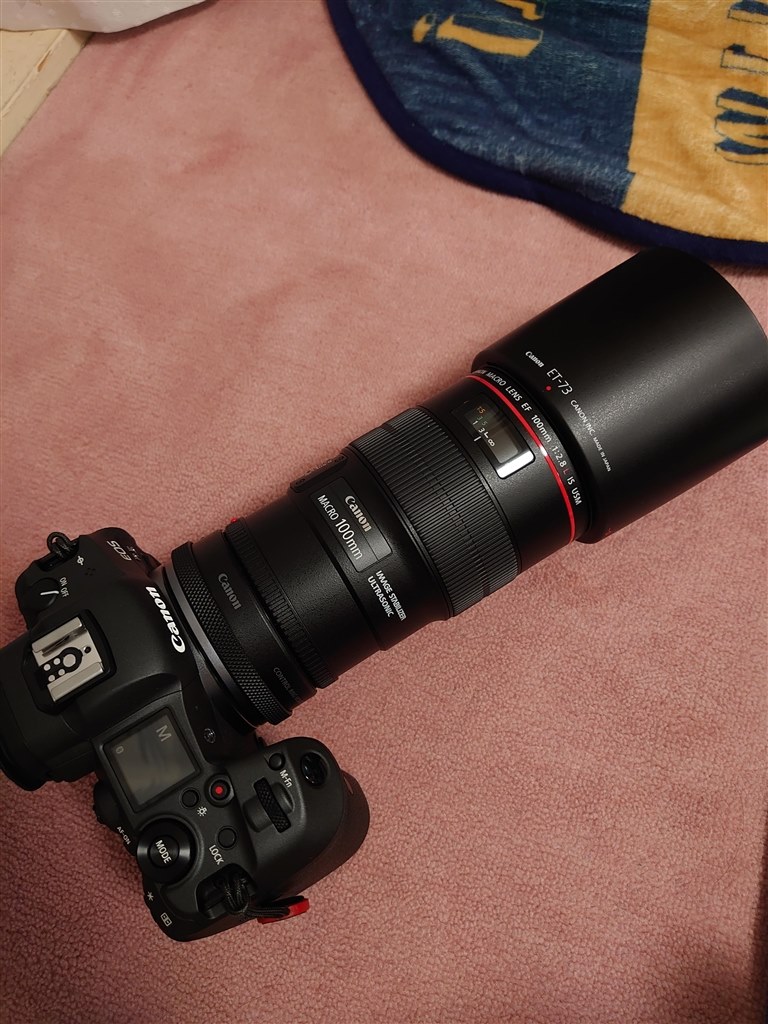 Canon EF100mm F2.8Lマクロ IS USM-