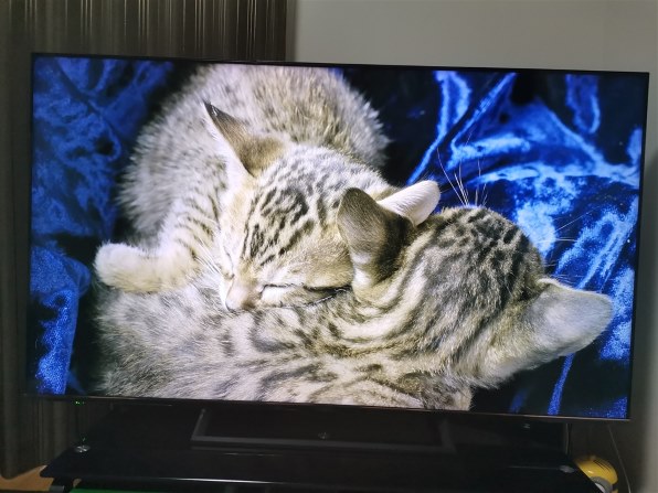 ハイセンス 65S6E [65インチ]投稿画像・動画 (レビュー) - 価格.com