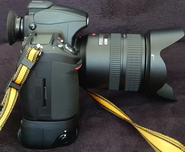 ニコン AF-S VR Zoom-Nikkor 24-120mm f/3.5-5.6G IF-ED投稿画像 ニコン AF-S VR Zoom-Nikkor 24-120mm f/3.5-5.6G IF-ED投稿画像