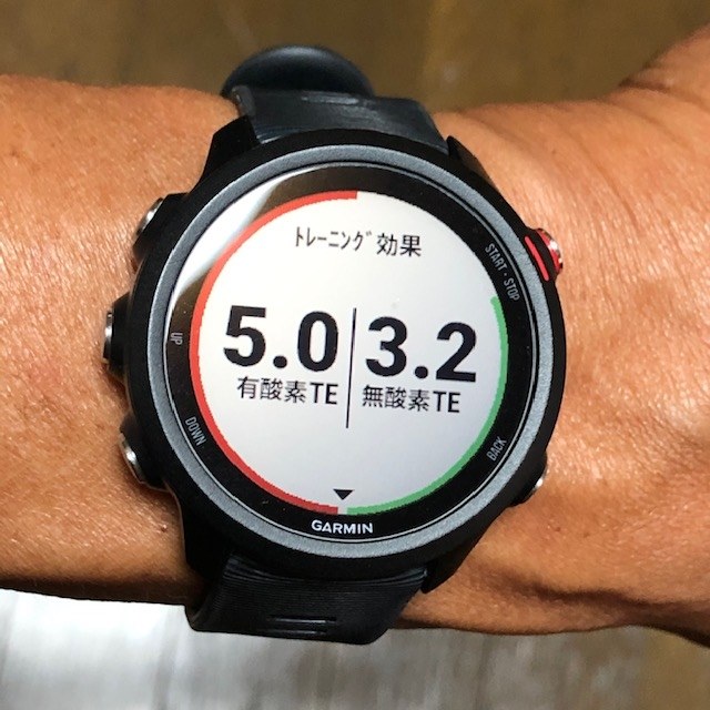 GARMIN FOREATHLETE 245 MUSIC BLACK RED - ランニング