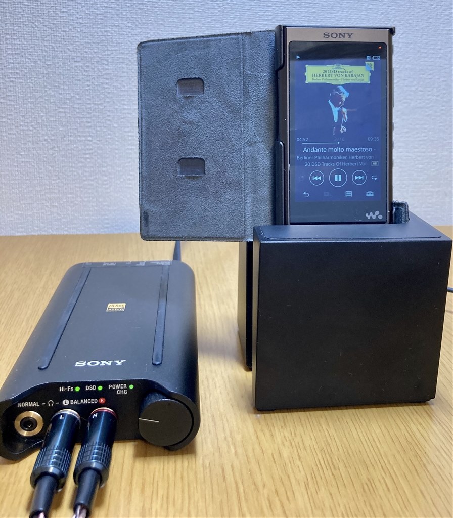 SONY WALKMAN NW-A55 グレイッシュブラック -