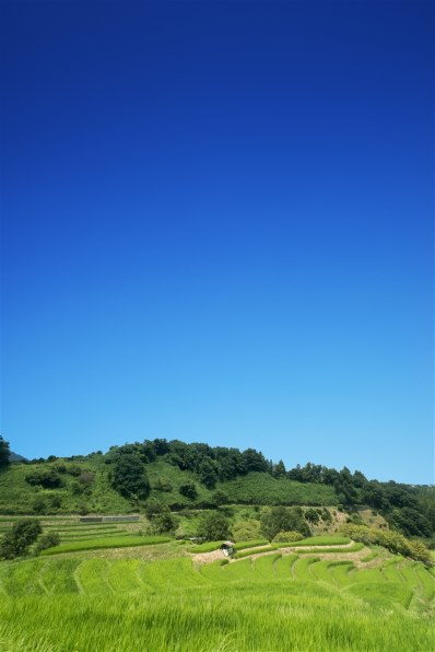 SONY Vario-Sonnar T* 16-35mm F2.8 ZA SSM SAL1635Zで撮影され SONY Vario-Sonnar T* 16-35mm F2.8 ZA SSM SAL1635Zで撮影され