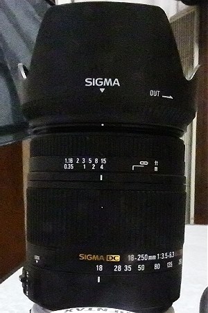 お気に入りズームレンズ』 シグマ 18-250mm F3.5-6.3 DC MACRO HSM