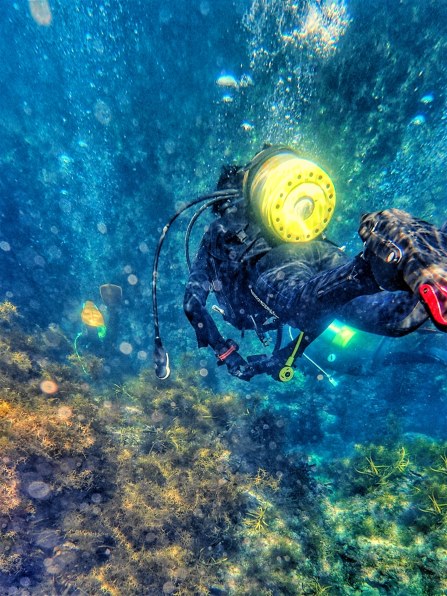 【ジャンク】OLYMPUS オリンパス STYLUS TG-4 Tough 水中 SNS_tg-4.png