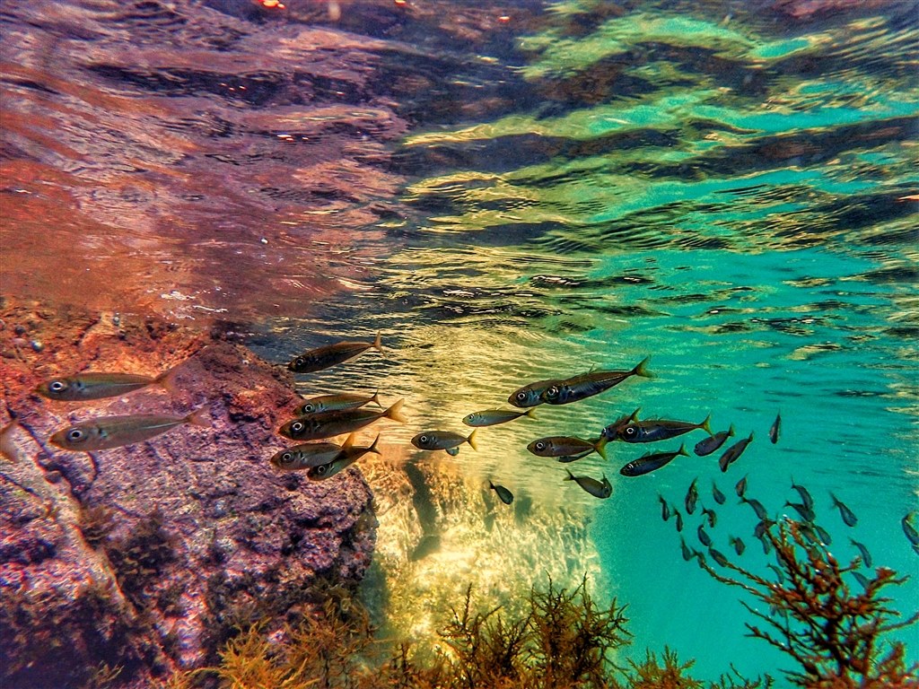 海水浴・シュノーケリング・荒い普段使いに最適』 オリンパス OLYMPUS