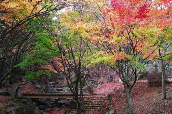 ペンタックス smc PENTAX-DA 35mmF2.4AL投稿画像・動画 - 価格.com