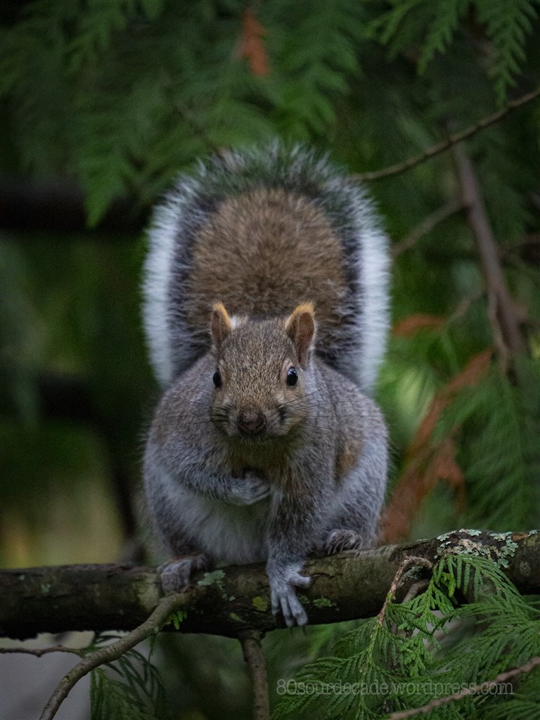 E M5マーク3を1年近く使った上での再レビューです オリンパス Om D E M10 Mark Ii Ezダブルズームキット ブラック Jameshさんのレビュー評価 評判 価格 Com