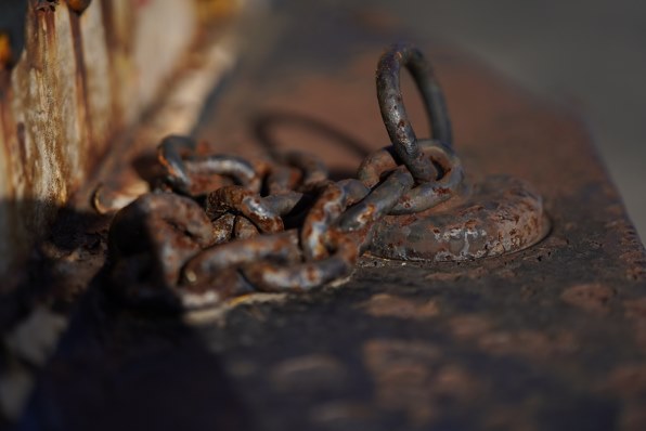 コシナ フォクトレンダー Macro Apo Lanthar 65mm F2 Aspherical レビュー評価 評判 価格 Com