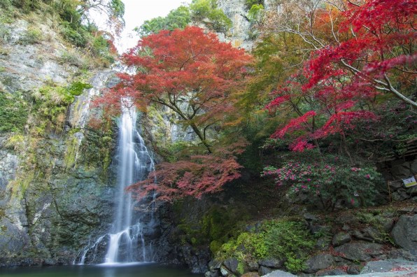 ペンタックス smc PENTAX-DA 12-24mmF4 ED AL[IF]で撮影された写真