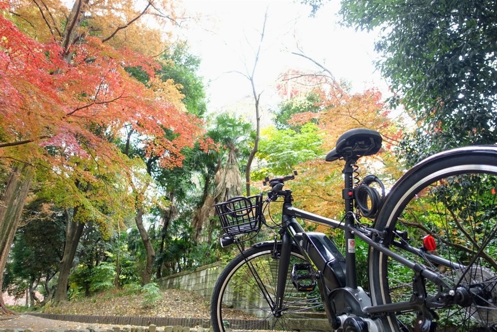まるで自分が若返ったように、より遠くへ出掛けたくなります