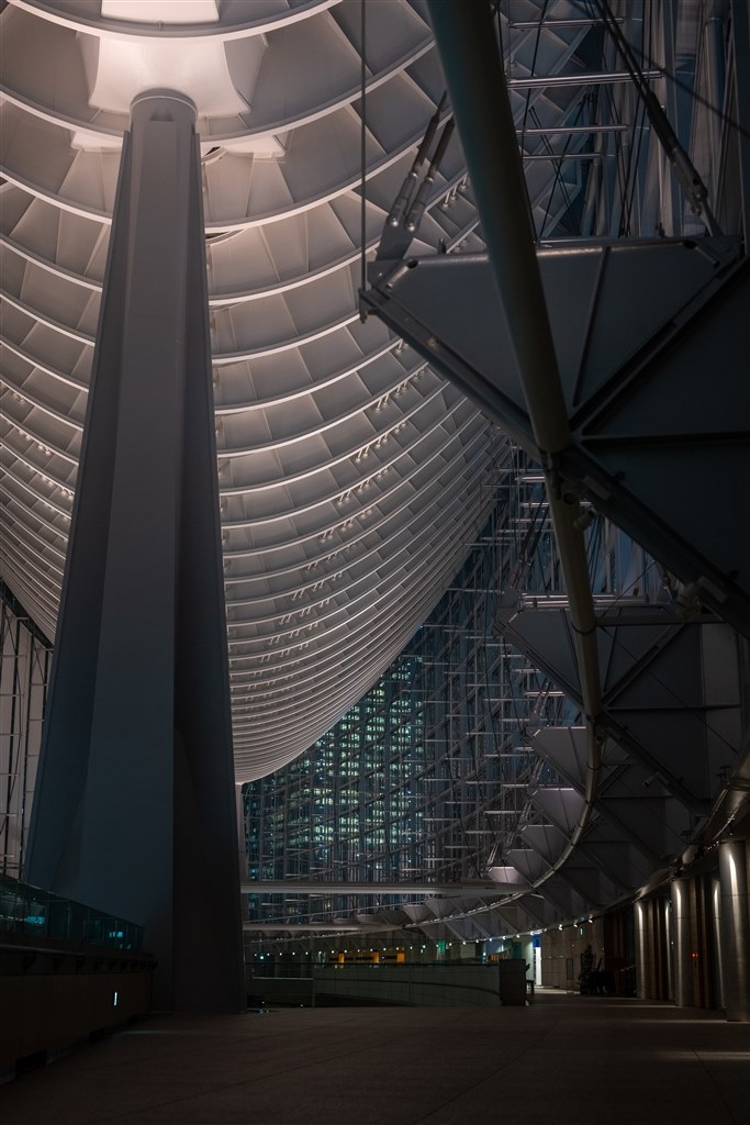 F1.2 キレ ボケ とても良いです』 ニコン NIKKOR Z 50mm f/1.2 S